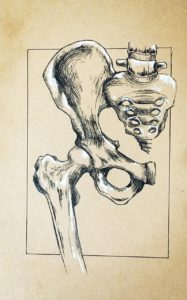 עצמות